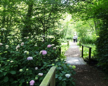 Fairhaven Water Garden