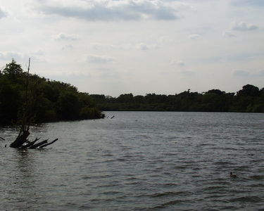 Fairhaven Water Garden