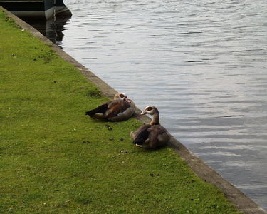 Fairhaven Water Garden