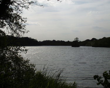 Fairhaven Water Garden