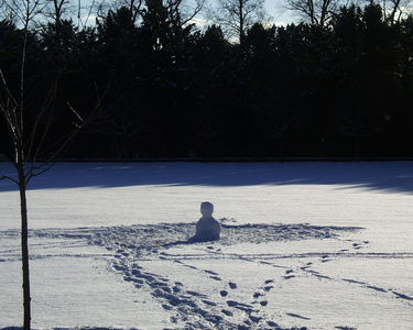 Snow 'Bust'