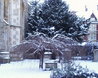 Cambridge