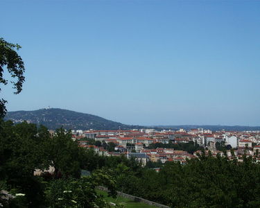 Lyons