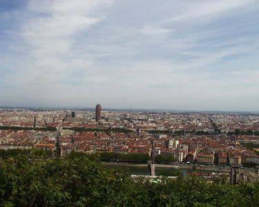 Lyons