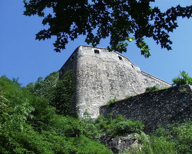 Lyons