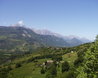 French Alps