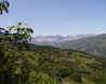French Alps