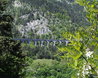 French Alps