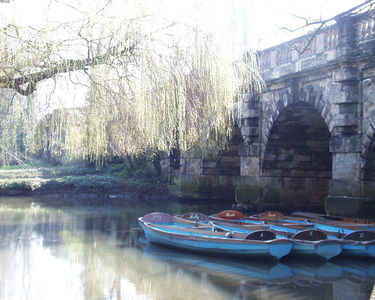 Oxford