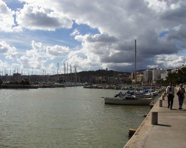 Palma