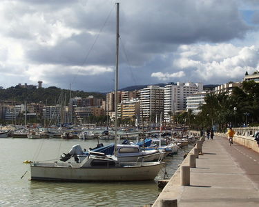 Palma