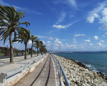 View along the bicycle lane