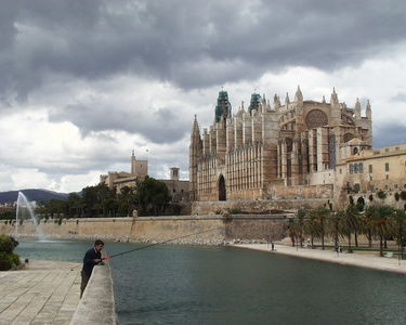 Palma