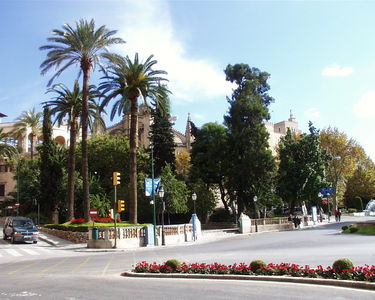 Palma