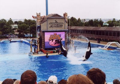Shamu Adventure