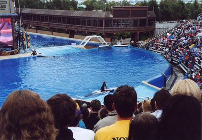 Shamu Adventure
