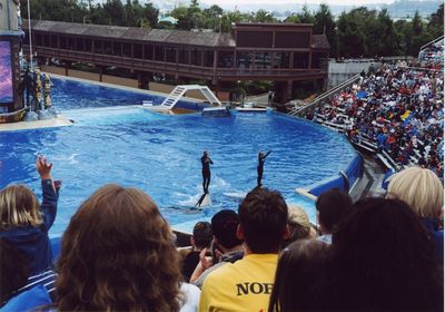 Shamu Adventure