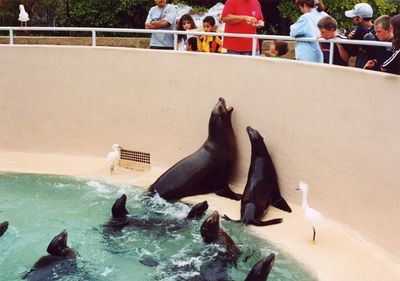 Sea World