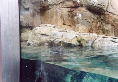 Sea World