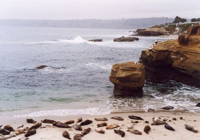 La Jolla