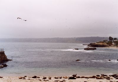 La Jolla