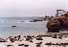 La Jolla