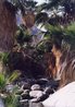 Borrego Palm Canyon