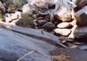 Borrego Palm Canyon