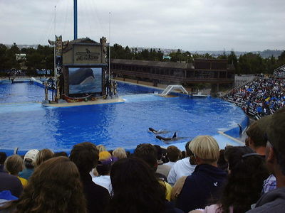 Shamu Adventure