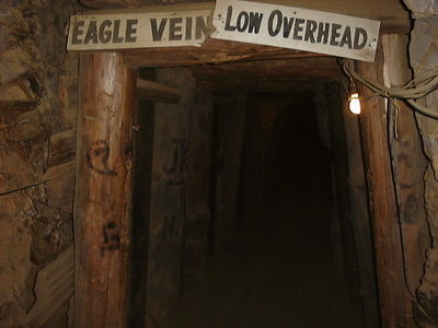 Gold Mine