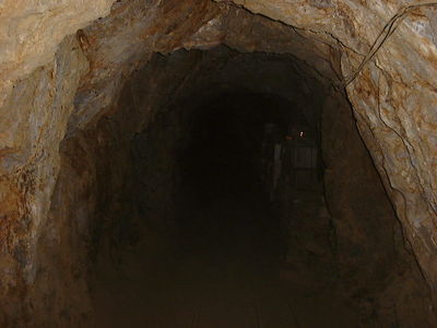 Gold Mine