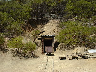Gold Mine