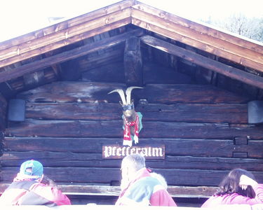 Liverpool Supporter?