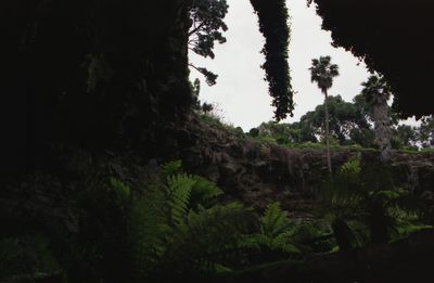 Umpherston Cave