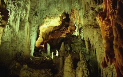 Waitomo Caves