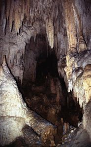Waitomo Caves
