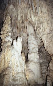Waitomo Caves