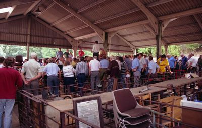 Hertford Cattle Market